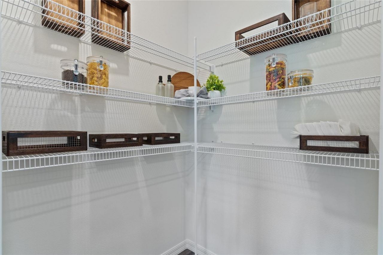 2318 Ashwood Bluff Drive, Ocoee, FL 34761 Photo