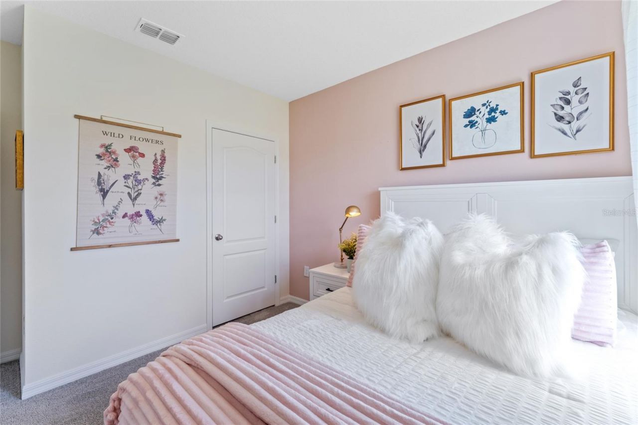 2318 Ashwood Bluff Drive, Ocoee, FL 34761 Photo