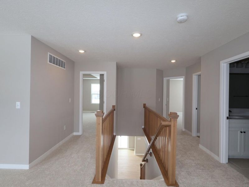 3885 Colts Reign Drive, Powell, OH 43065 Photo 11