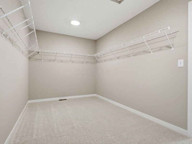 3885 Colts Reign Drive, Powell, OH 43065 Photo 43