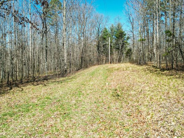40 Acres County Road 492, Henagar, AL 35978