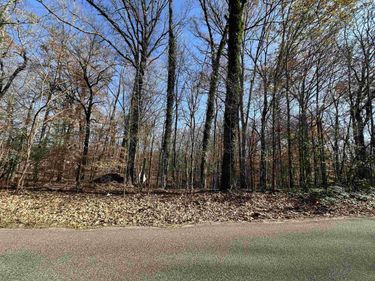 580 E ROCKY POINT DR, Memphis, TN 38018