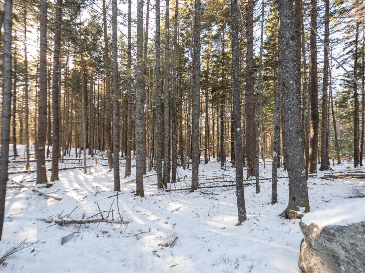 25 Long Pond Road, Southwest Harbor, ME 04679 Main Photo