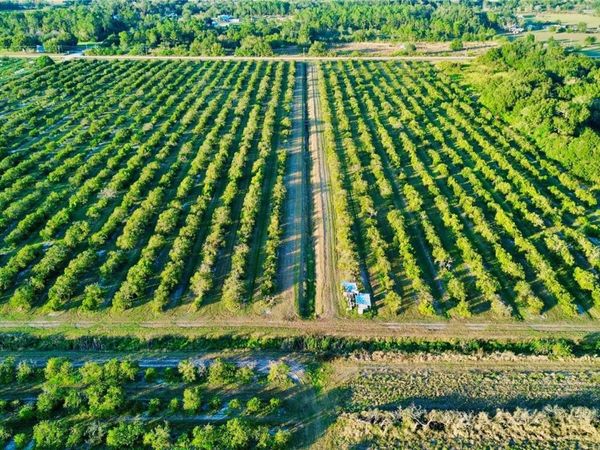 2233 HICKS ROAD, LORIDA, FL 33857