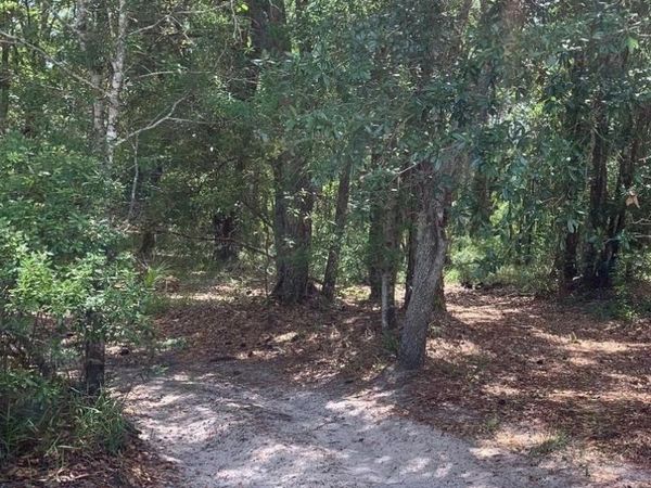 0 County RD 54 E, Kathleen, FL 33849