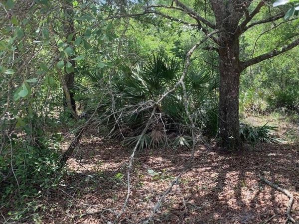 0 County Rd 54, Kathleen, FL 33849