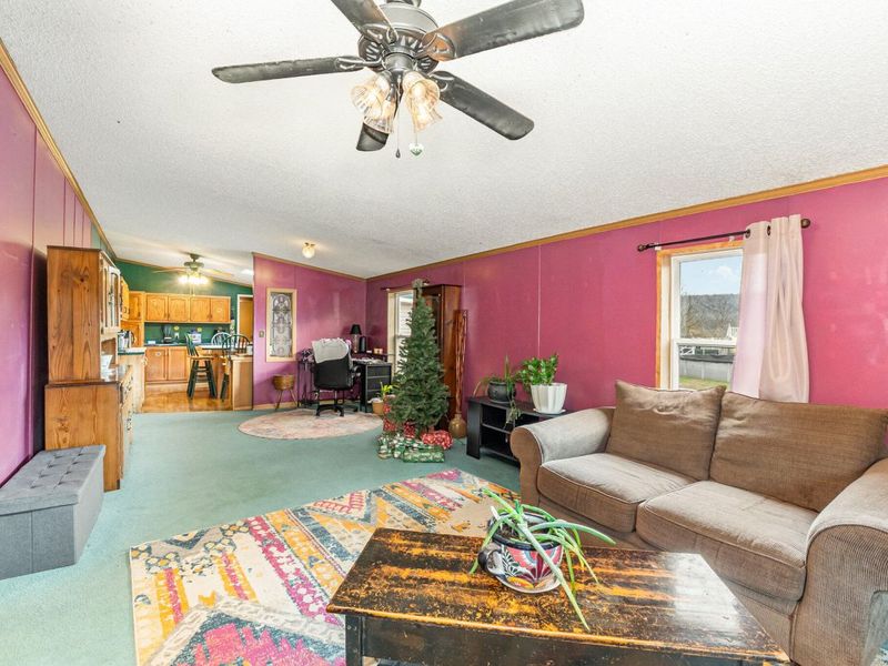 282 Sparta-Sanders Road, Sanders, KY 41083 Photo 6