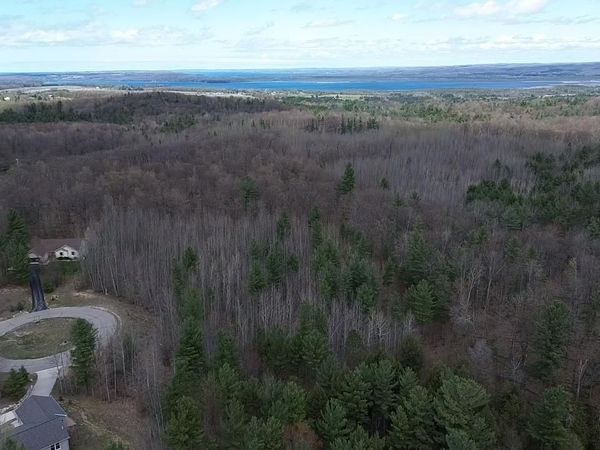 5479 Glendenning Trail, Williamsburg, MI 49690