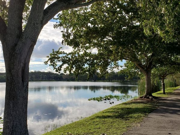 120 Royal Park Drive, Unit B4, Oakland Park, FL 33309