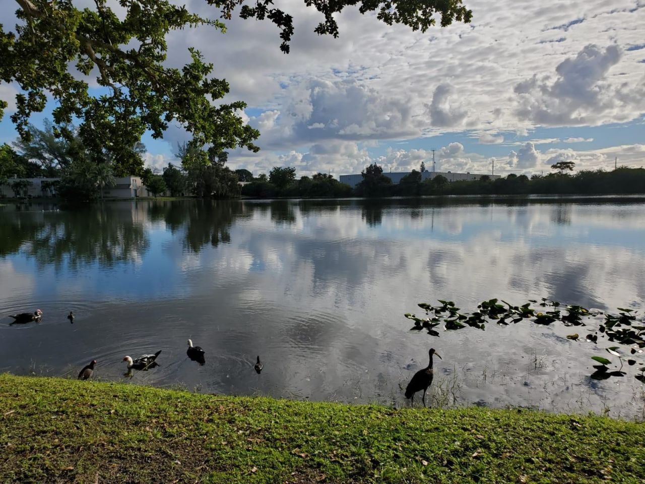 120 Royal Park Drive, Unit B4, Oakland Park, FL 33309 Photo