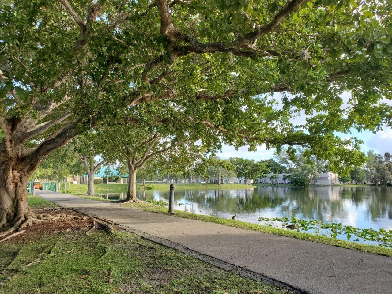 120 Royal Park Drive, Unit B4, Oakland Park, FL 33309 Photo