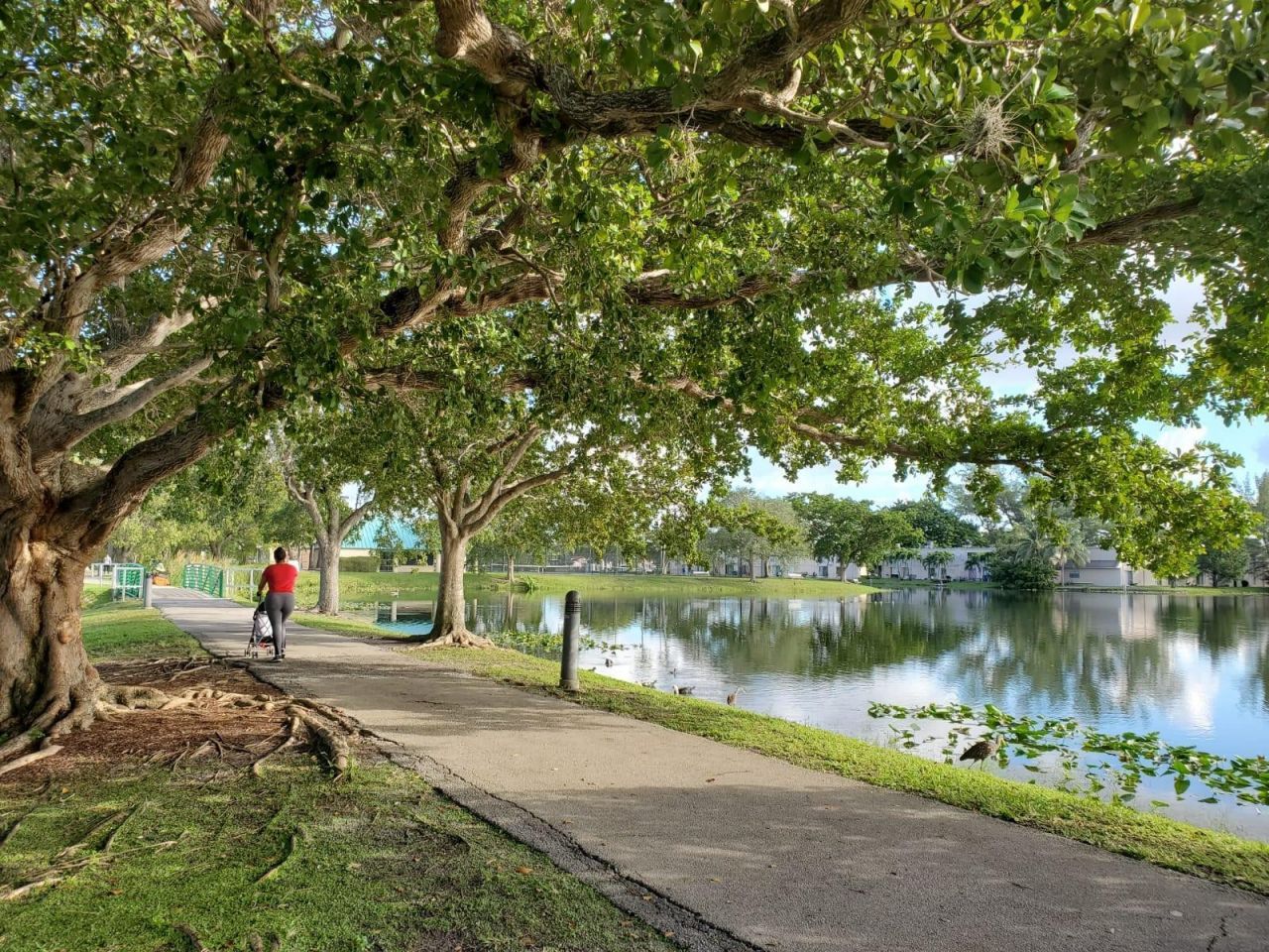 120 Royal Park Drive, Unit B4, Oakland Park, FL 33309 Photo