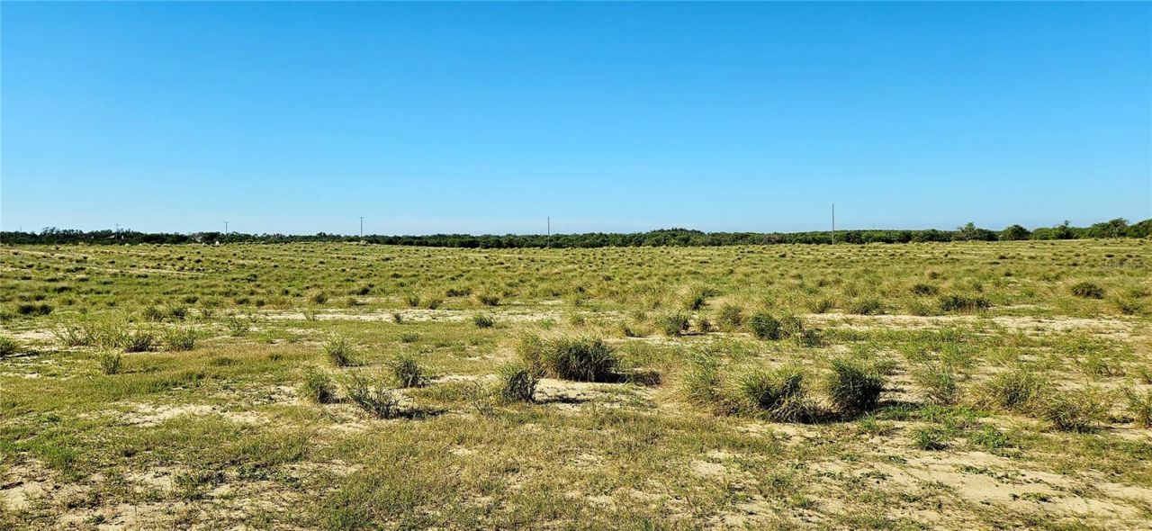 Dog Yard Road, Lake Wales, FL 33898 Photo