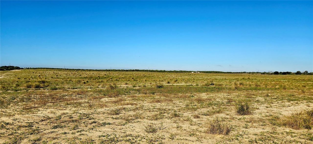 Dog Yard Road, Lake Wales, FL 33898 Photo