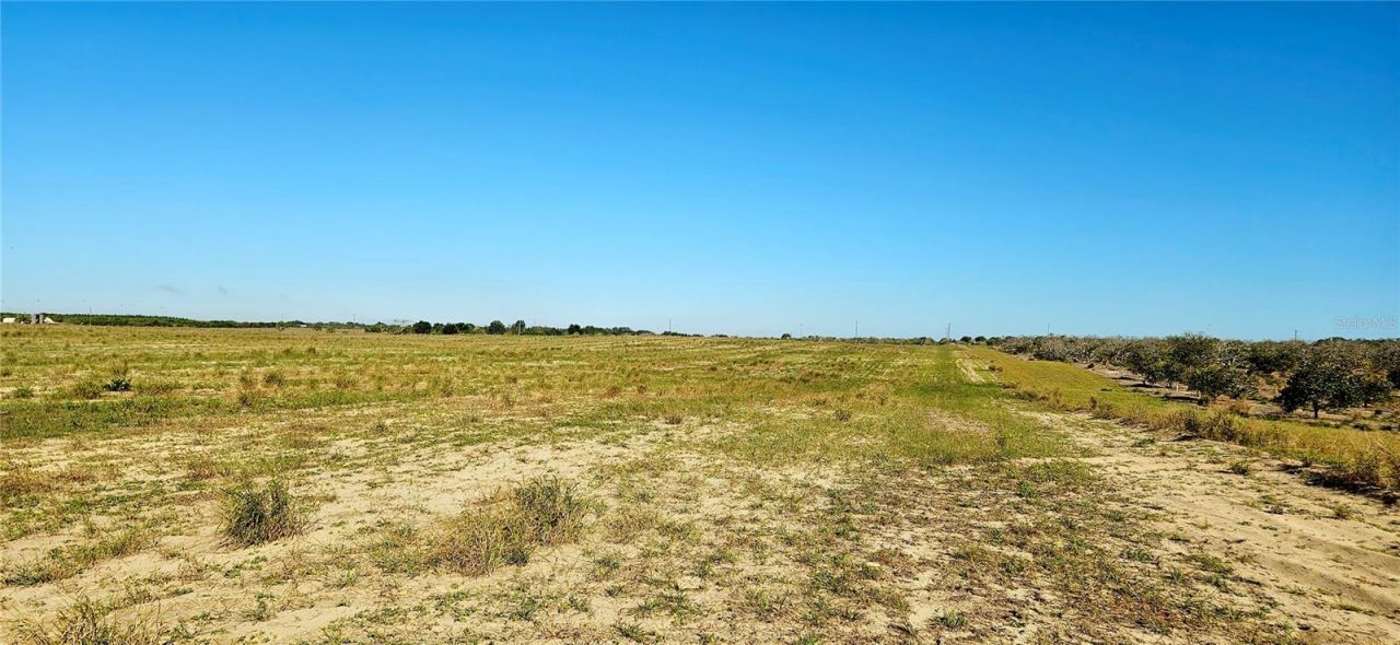 Dog Yard Road, Lake Wales, FL 33898 Photo