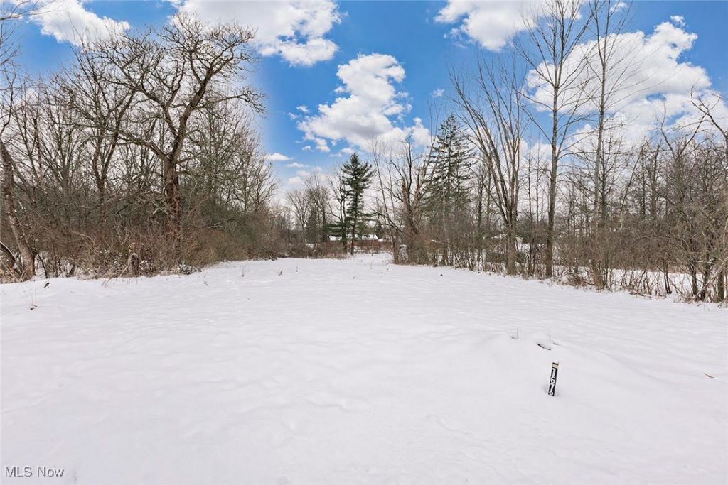 16788 Geneva Street, Chagrin Falls, OH 44023 Main Photo