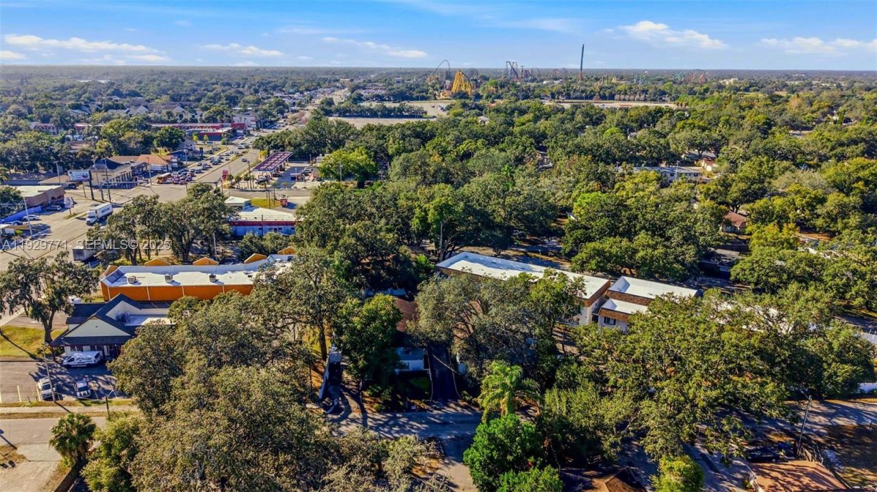 9208 N Connechusett Rd , Tampa, FL 33617 Photo