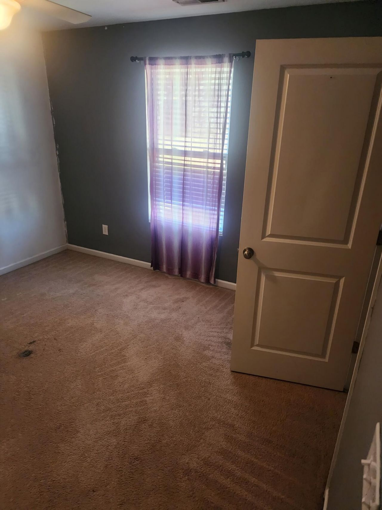 210 Medford Drive Photo 5