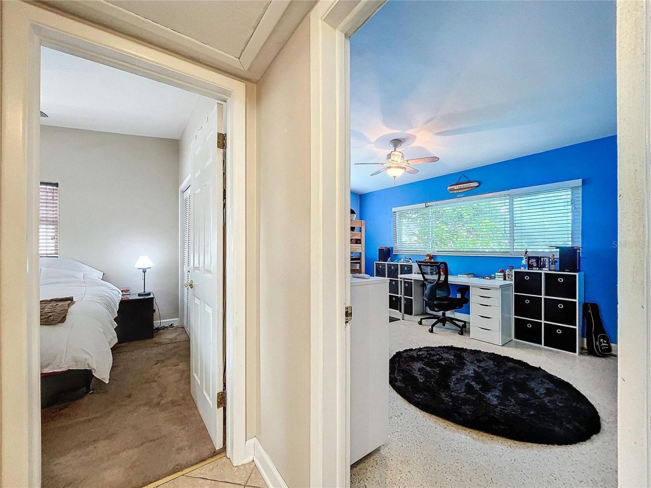 311 Morningside Drive, Palm Harbor, FL 34683 Photo