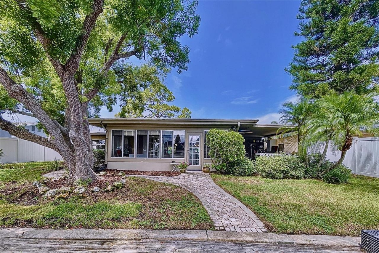 311 Morningside Drive, Palm Harbor, FL 34683 Photo