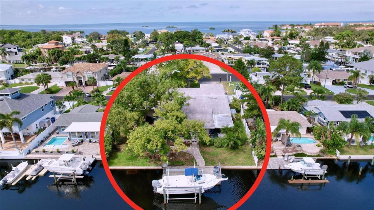 311 Morningside Drive, Palm Harbor, FL 34683 Photo