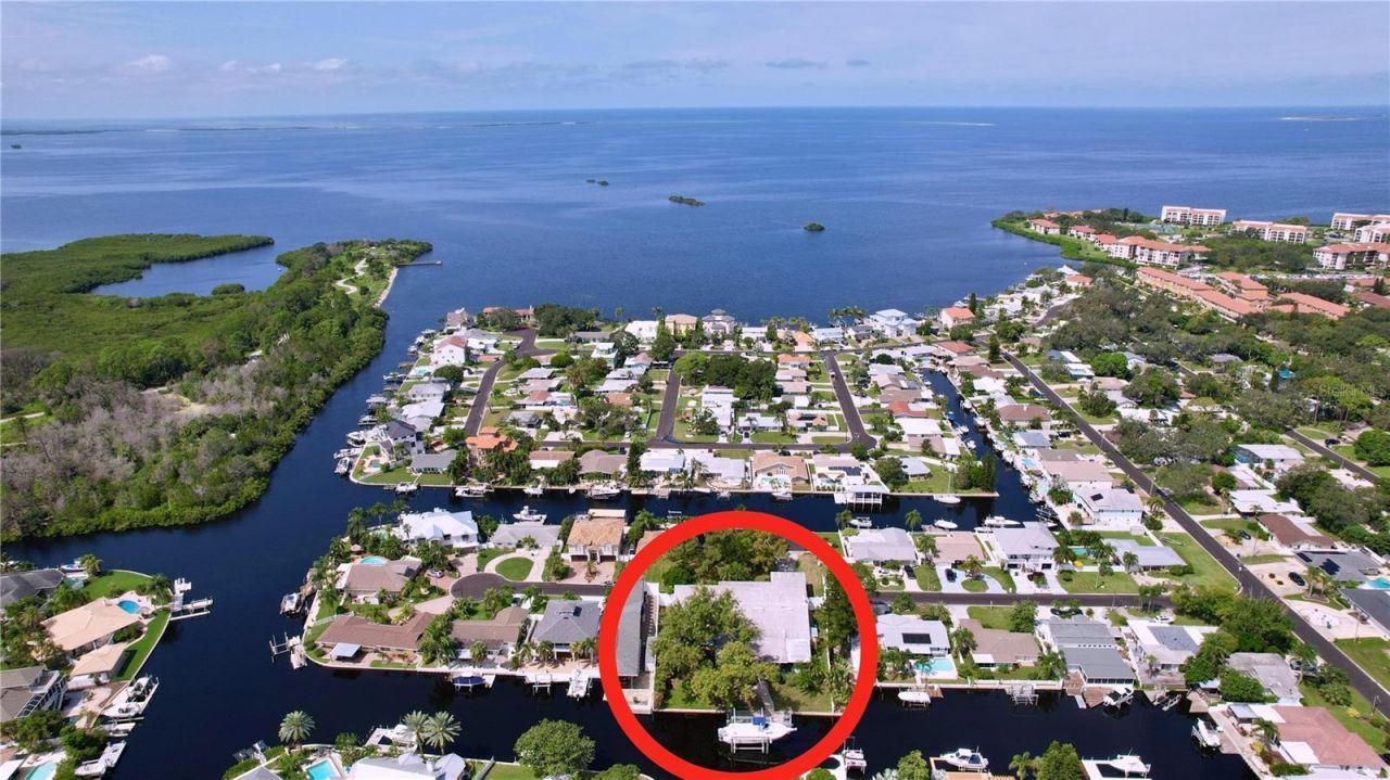 311 Morningside Drive, Palm Harbor, FL 34683 Photo