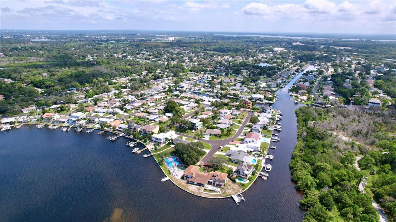 311 Morningside Drive, Palm Harbor, FL 34683 Photo