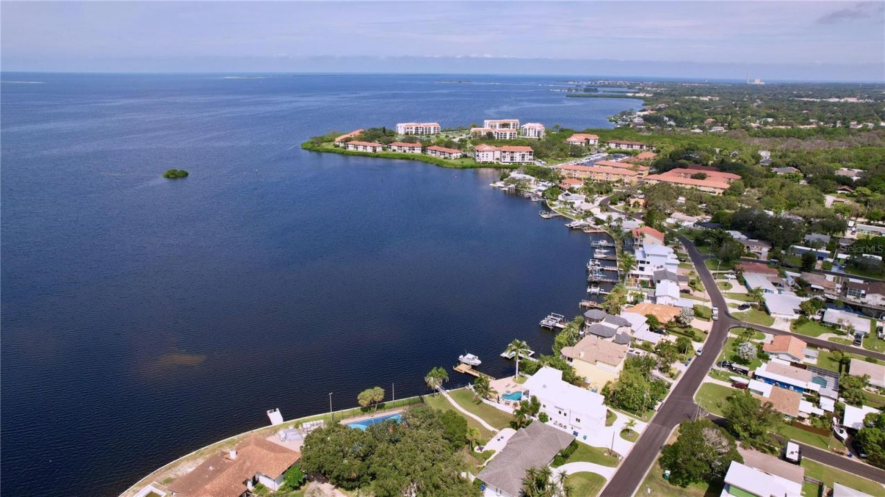 311 Morningside Drive, Palm Harbor, FL 34683 Photo