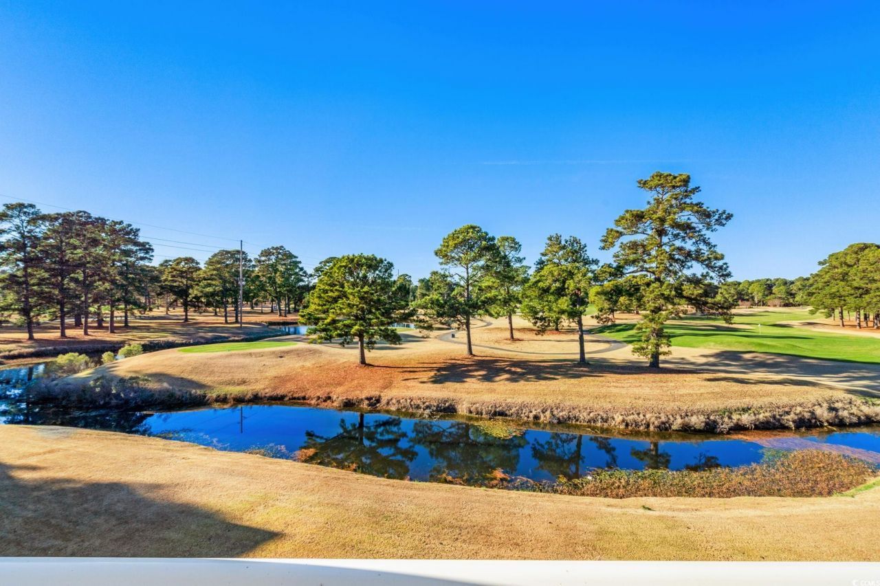 4815 Orchid Way Photo 22