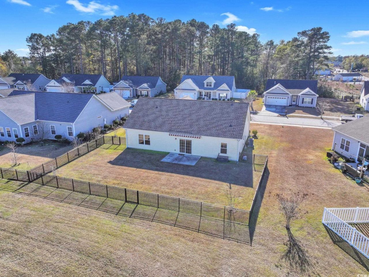 1445 Tiger Grand Dr. Photo 30