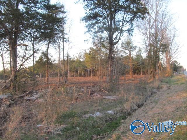 1 Razorback Way, Albertville, AL 35951 Main Photo
