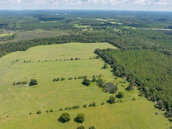 TBD HOGAN RD, Wellborn, FL 32094
