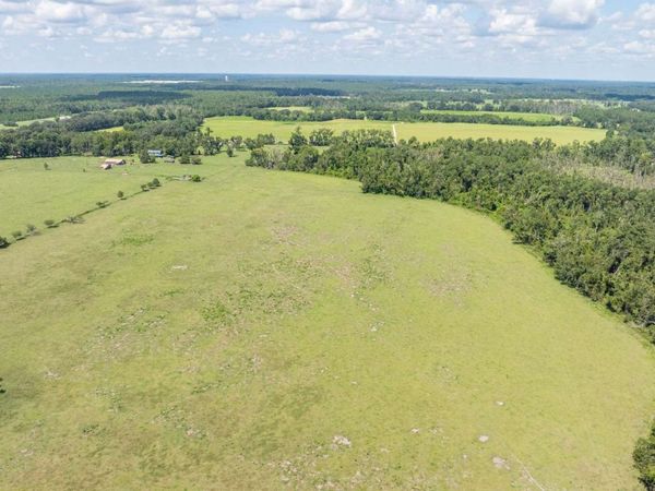 TBD HOGAN RD, Wellborn, FL 32094