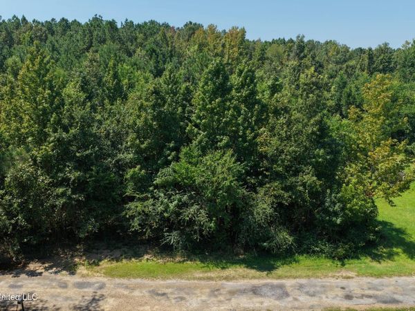 0 Alfred Road, Liberty, MS 39645
