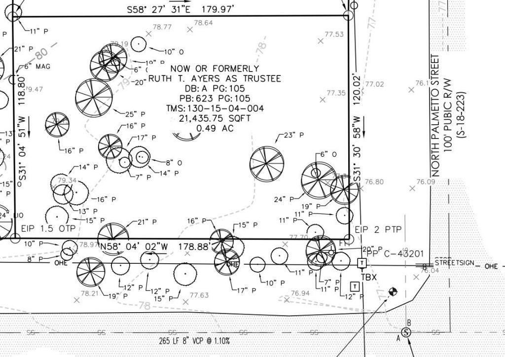 0 N Palmetto Street  Photo 18