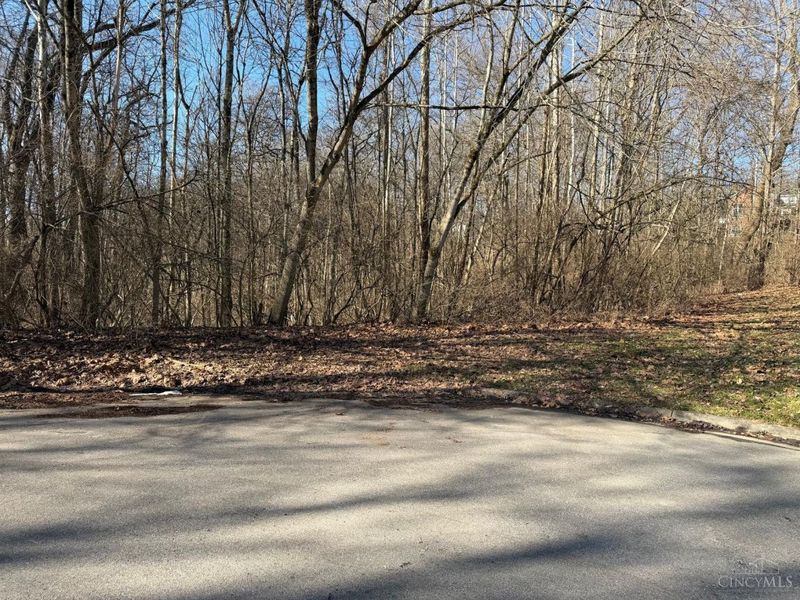 0 Watch Point Drive, Anderson Twp, OH 45230 Photo 1