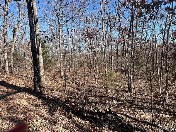 TBD Thong Tree Road, Camdenton, MO 65020