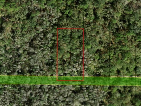 0 County Rd 54, Kathleen, FL 33849