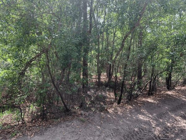 0 County Rd 54, Kathleen, FL 33849