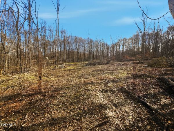 270 Freedom Road, Limestone, TN 37681