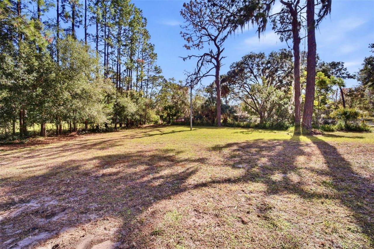 6122 Wisteria Loop, Land O Lakes, FL 34638 Photo