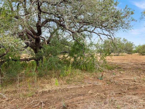 7&8 CR 171, Nixon, TX 78140