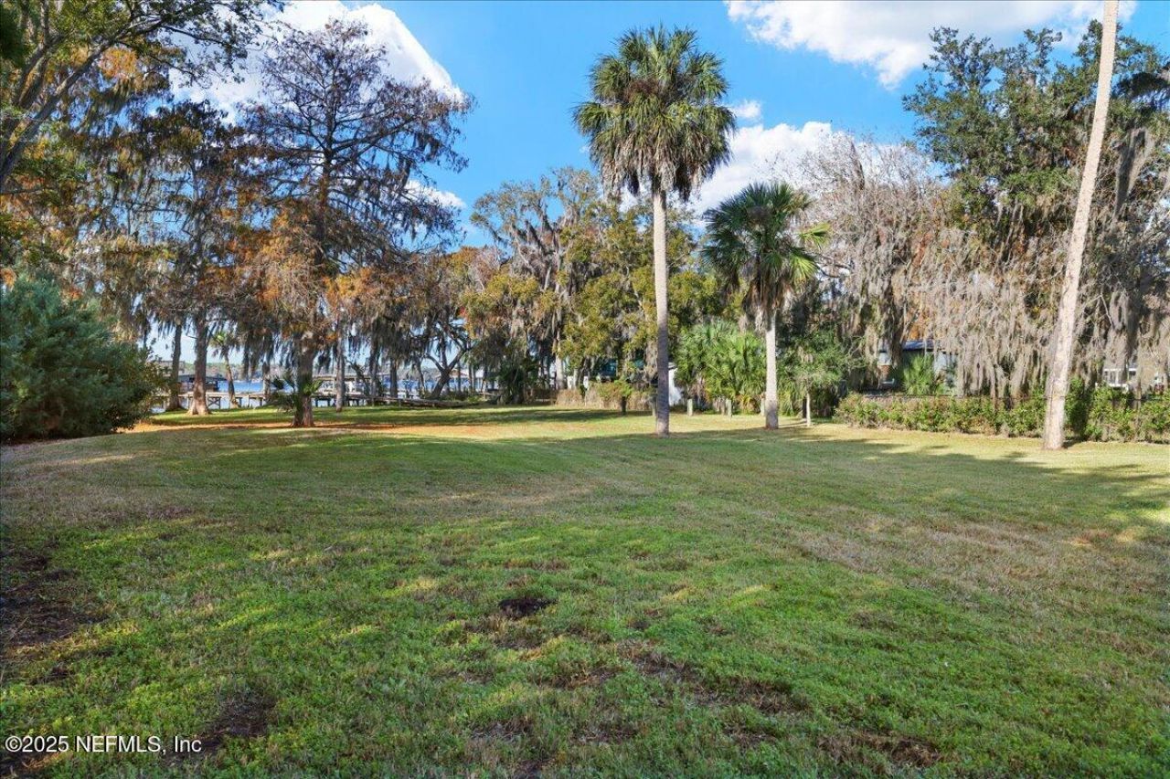 188 Palm Drive, Georgetown, FL 32139 Photo