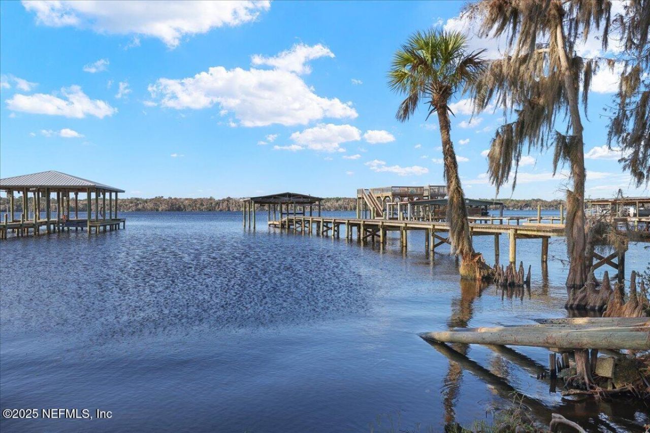 188 Palm Drive, Georgetown, FL 32139 Photo