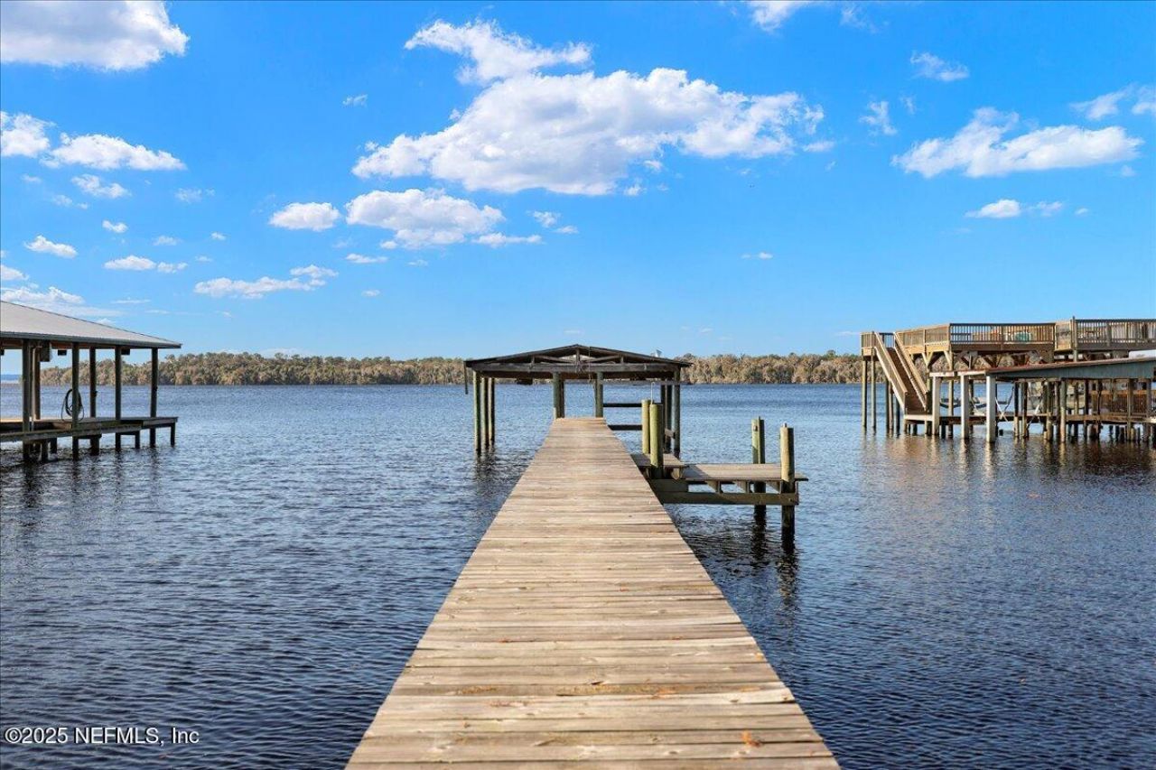 188 Palm Drive, Georgetown, FL 32139 Photo