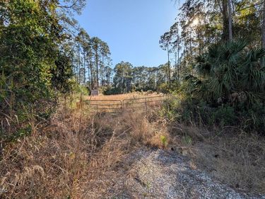 113 WHITE PINE Lane, Georgetown, FL 32139