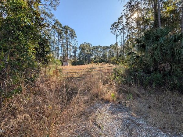 113 WHITE PINE Lane, Georgetown, FL 32139