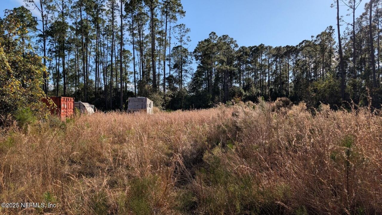 113 White Pine Lane, Georgetown, FL 32139 Photo