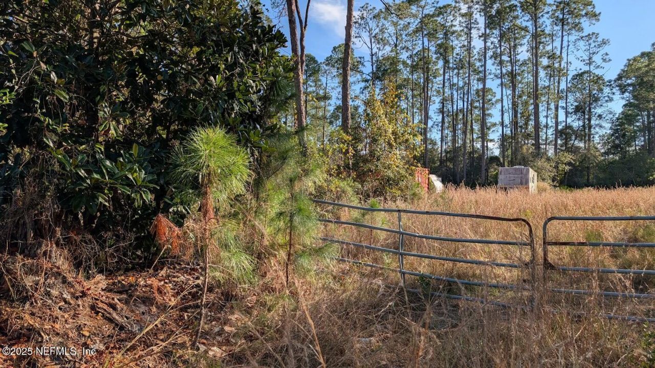 113 White Pine Lane, Georgetown, FL 32139 Photo