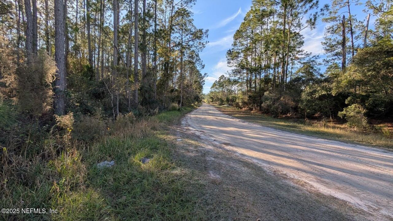 113 White Pine Lane, Georgetown, FL 32139 Photo